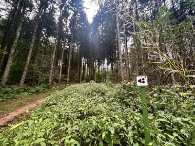 Circuit-VTT-18-km-8211-Soucht_3546205