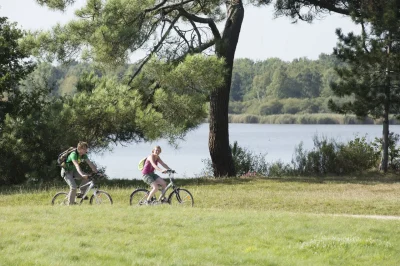 Circuit-VTT-8211-De-la-foret-de-Lancosme-aux-etangs-8211-Saint-Michel-en-Brenne_1391254-1