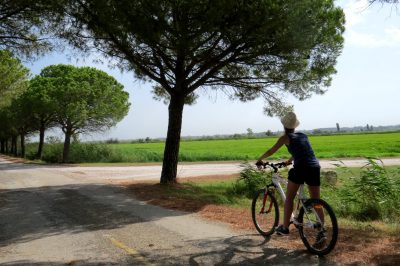 Circuit-a-velo-du-riz-et-des-chevaux-de-Camargue_24626