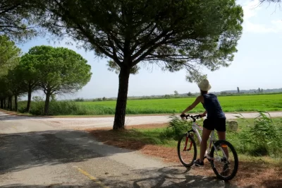Circuit-a-velo-du-riz-et-des-chevaux-de-Camargue_713627