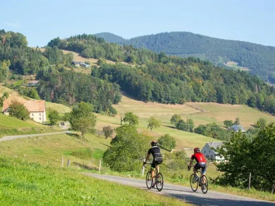 Circuit-cyclo-8211-Kaysersberg-8211-Ribeauville-8211-Aubure-8211-Kaysersberg-Vignoble_2859552