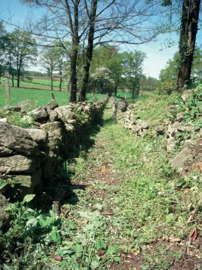 Circuit-des-Chemins-Creux-et-Chataigniers-8211-Lauresses_3317671