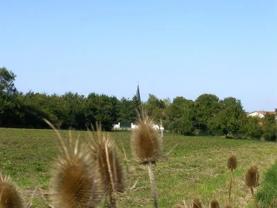 Circuit-des-quatre-villages-8211-Bonviller_3592747