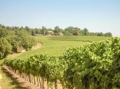 Circuit-des-vignobles_1070273