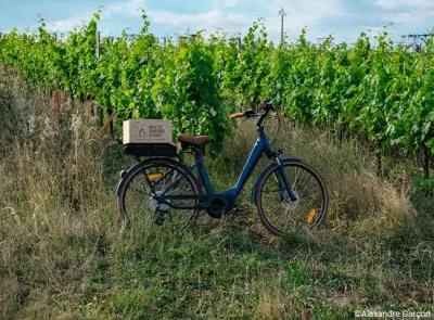 Circuit-du-vignoble-a-velo-electrique-8211-01-07-2025-8211-Buzet-sur-Baise_2980202
