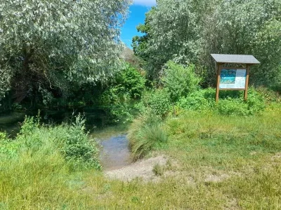Circuit-en-canoe-sur-le-Brunnwasser-de-Rhinau-a-Gerstheim-8211-Rhinau_2882651
