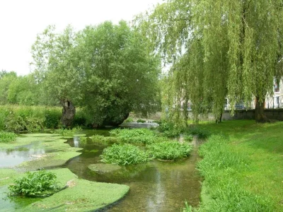 Circuit-famille-8211-un-detour-dans-la-Plaine-8211-Neufchateau_3535109