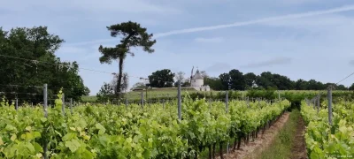 Circuit-gourmand-en-Pays-Dacquois-8211-22-08-2025-8211-Dax_2890408