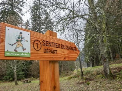 Circuit-pedestre-8211-Le-Sentier-du-Sagard-8211-Ban-sur-Meurthe-Clefcy_3546198