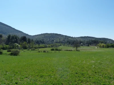 Circuit-pedestre-dans-le-Domaine-Departemental-de-Pichauris-quotLes-Grands-Ubacsquot-8211-Allauch_2653337