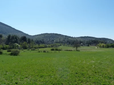 Circuit-pedestre-dans-le-Domaine-Departemental-de-Pichauris-quotLes-Grands-Ubacsquot_725244