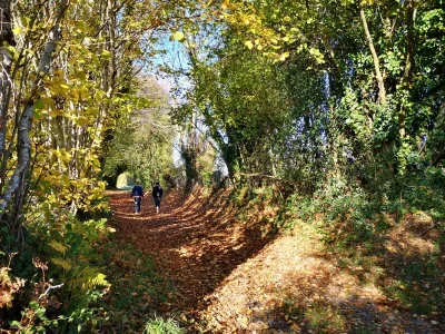 Circuit-pedestre-n°-89-quotSur-les-pas-de-la-ligne-de-chemin-de-fer-Tours-Montluconquot-8211-Vigoulant_1391325-1