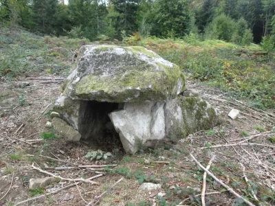 Circuit-pedestre-n°-MO1-Promenade-des-Dolmens-8211-Mourioux-Vieilleville_3433871