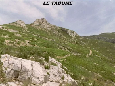 Circuit-pedestre-sur-les-pas-de-Marcel-Pagnol-quotLe-Taoumequot_713831