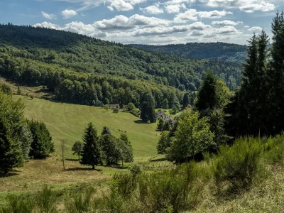 Circuit-poussettes-42154-H05-La-clairiere-du-Hang-parcours-2-8211-Bourg-Bruche_2795894