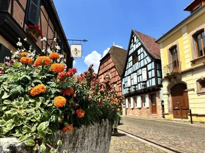 Circuit-rando-8211-de-Kaysersberg-a-Kientzheim-par-les-vignes-8211-Kaysersberg-Vignoble_2930296