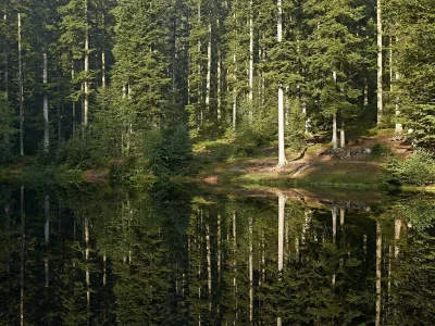 Circuit-rando-C23-Plaine-et-l039etang-de-la-Falle-8211-Saint-Blaise-la-Roche_2876905