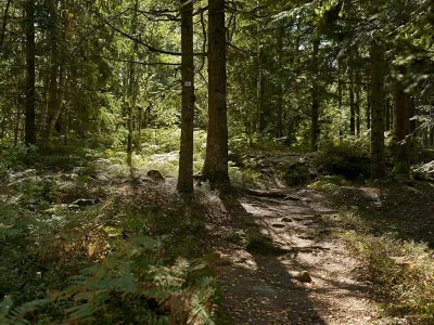 Circuit-rando-C30-Entre-Rothau-et-le-Chateau-de-Salm-8211-Rothau_1667534