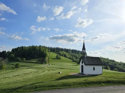 Circuit-trail-10-8211-La-p039tite-trotte-des-Hautes-Vosges-8211-Fresse-sur-Moselle_3651145