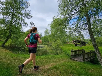 Circuit-trail-12-8211-Le-tour-des-Cretes-8211-Le-Thillot_3651143