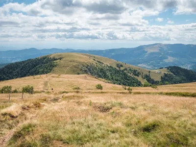 Circuit-trail-Gerardmer-n°8-rouge-8211-Hautes-Chaumes-et-lacs-8211-Gerardmer_3539241