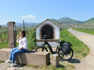 Circuit-velo-de-la-Veloroute-du-Vignoble-a-la-Veloroute-du-Rhin-8211-Kintzheim_3099462