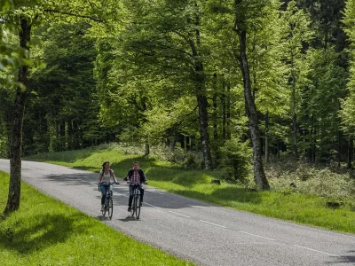 Circuit-velo-route-C06-Autour-des-bois-de-Russ-et-Grendelbruch-8211-Schirmeck_1608116