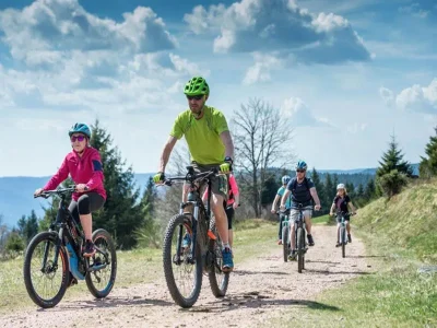 Circuit-vtt-n°1-les-balcons-de-La-Bresse-8211-La-Bresse_3545100