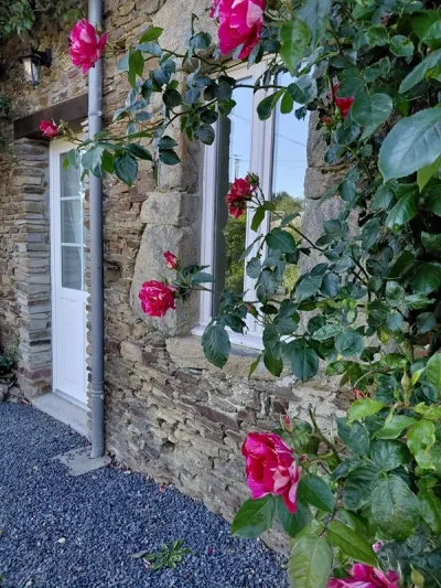 Clevacances-H8683-GITE-DES-HORTENSIAS-8211-Carantilly_3752101