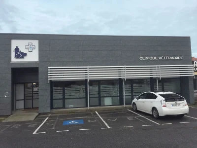Clinique-veterinaire-Dr-Vaque-Dr-Durand-amp-Dr-Montecchi-8211-Capbreton_1875983