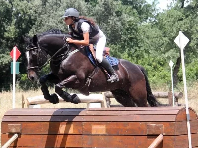 Club-hippique-des-Pinchinats_715430