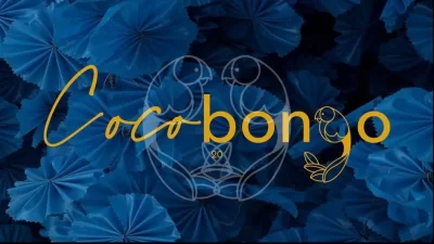 Coco-Bongo_731236