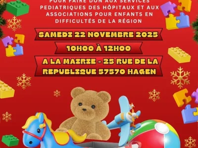 Collecte-de-jouets-et-livres-8211-22-11-2025-8211-Hagen_3270196