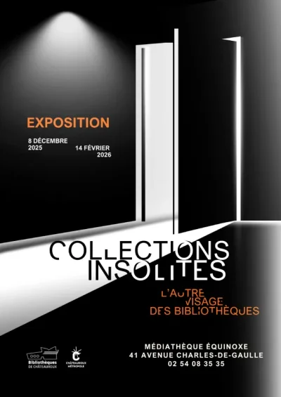 Collections-insolites-l039autre-visage-des-bibliotheques-8211-08-12-2025-8211-Chateauroux_3342600