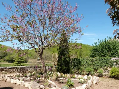 Coly-Saint-Amand-8211-Coly-Saint-Amand_1069774