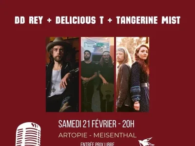 Concert-DD-Rey-Delicious-T-Tangerine-Mist-8211-21-02-2026-8211-Meisenthal_3532930