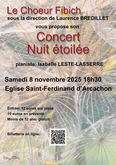 Concert-Nuit-Etoile-8211-08-11-2025-8211-Arcachon_3165210