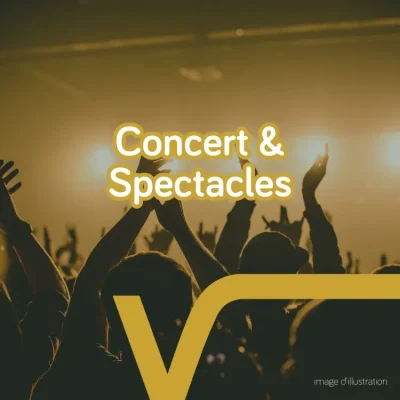 Concert-Valentin-Vander-8211-28-02-2026-8211-Eguzon-Chantome_3464459