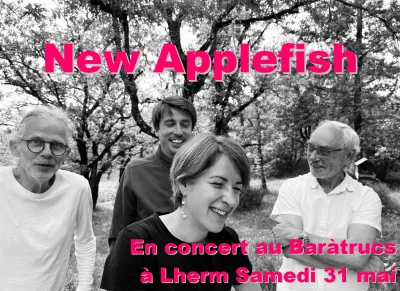 Concert-au-Bar-a-Trucs-New-Applefish-8211-31-05-2025-8211-Lherm_2669379