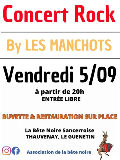Concert-rock-by-Les-Manchots-8211-05-09-2025-8211-Thauvenay_3014886