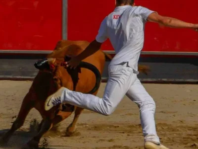 Concours-de-cocardes-8211-25-07-2025-8211-Casteljaloux_2671301