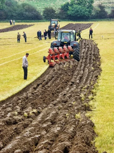 Concours-de-labour-vide-greniers-8211-07-09-2025-8211-Lanouaille_2981985