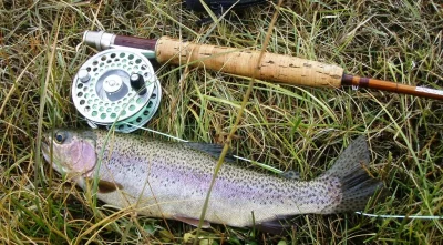 Concours-de-peche-8211-01-05-2025-8211-Chambonchard_2204471