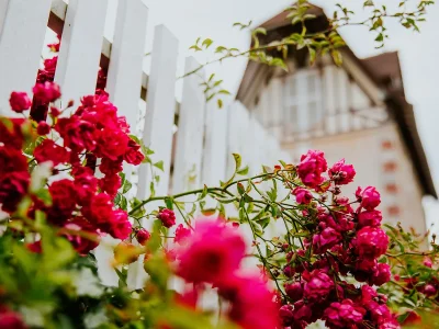 Concours-des-Maisons-et-Balcons-Fleuris-8211-31-03-2025-8211-Cabourg_2258145