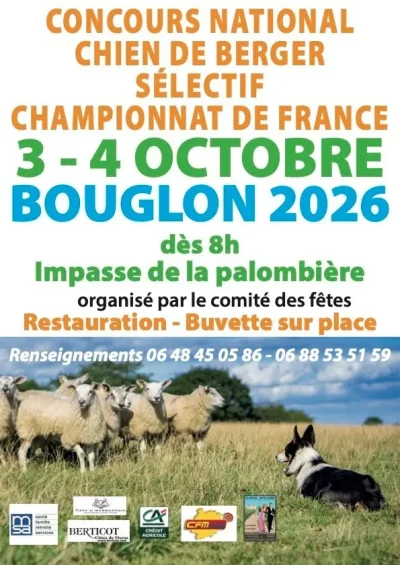 Concours-national-de-chien-de-berger-8211-03-10-2026-8211-Bouglon_3874587