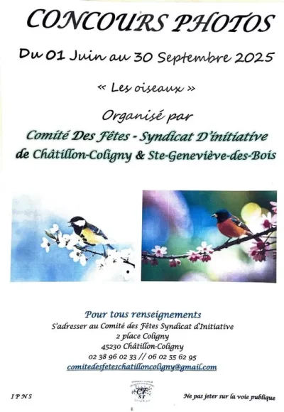 Concours-photos-quotLes-oiseauxquot-8211-01-06-2025-8211-Chatillon-Coligny_2611497