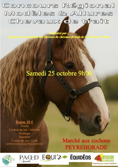 Concours-regional-modeles-et-allures-chevaux-de-trait-8211-25-10-2025-8211-Peyrehorade_3224551