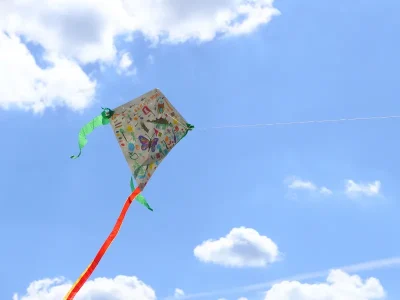 Confection-d039un-cerf-volant-a-Terres-d039Oiseaux-8211-07-04-2026-8211-Braud-et-Saint-Louis_3485356