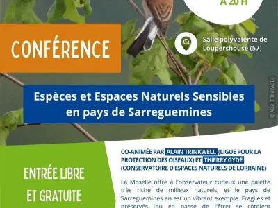 Conference-8211-Especes-et-Espaces-Naturels-Sensibles-en-pays-de-Sarreguemines-8211-28-02-2026-8211-Loupershouse_3460815