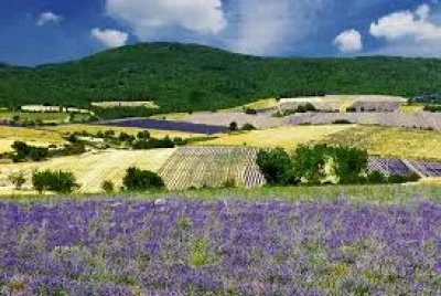 Conference-Jean-Giono-et-les-femmes-8211-12-05-2025-8211-Aix-en-Provence_2436622